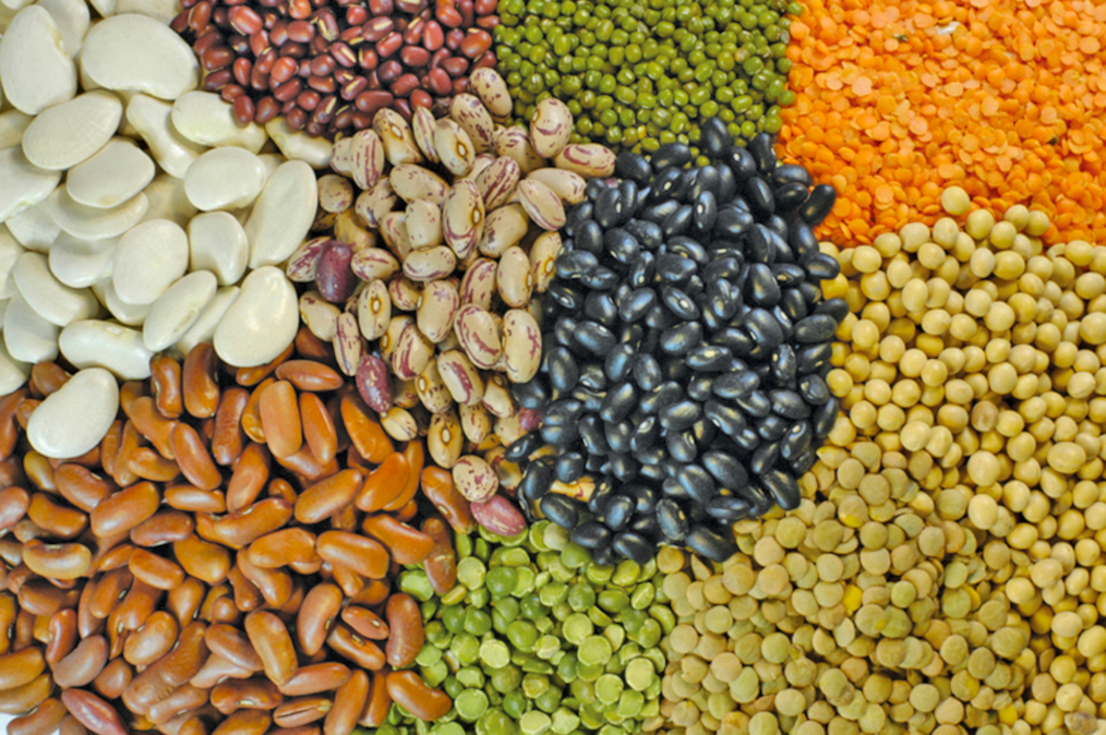 Beans & Pulses
